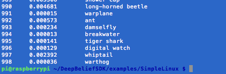 Screenshot of DeepBelief Output